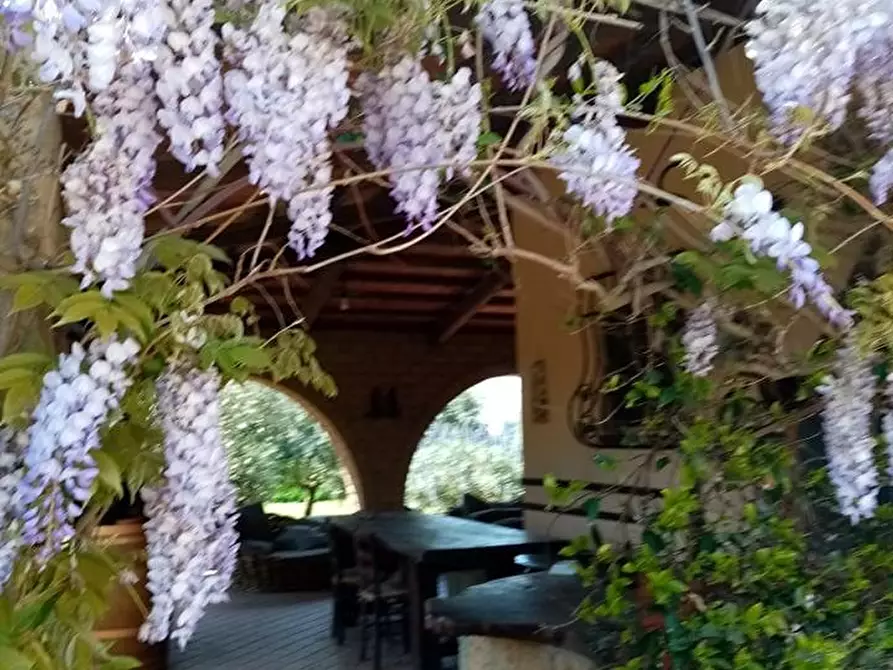 Immagine 60 di Casa indipendente in vendita  a Piombino