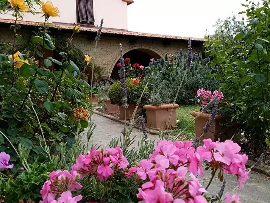 Immagine 64 di Casa indipendente in vendita  a Piombino