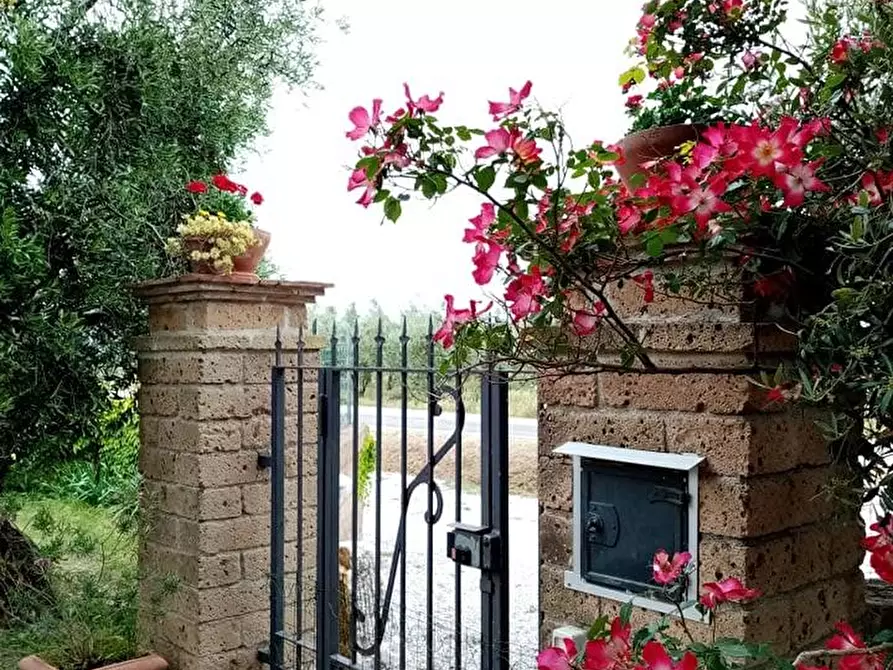 Immagine 62 di Casa indipendente in vendita  a Piombino