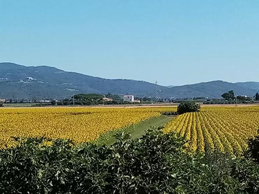 Immagine 63 di Casa indipendente in vendita  a Piombino