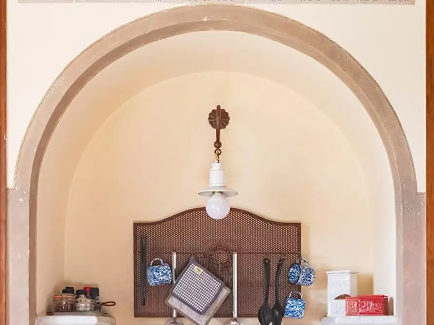 Immagine 42 di Rustico / casale in vendita  a Pisa