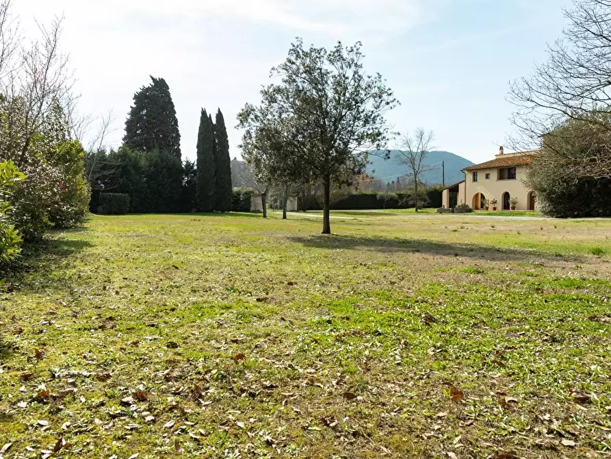 Immagine 1 di Rustico / casale in vendita  a Pisa