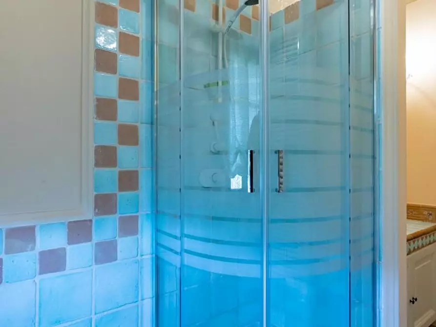 Immagine 61 di Rustico / casale in vendita  a Pisa