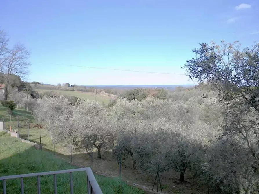 Immagine 15 di Rustico / casale in vendita  a Casciana Terme Lari