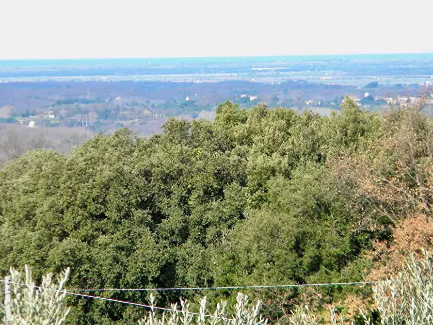 Immagine 8 di Rustico / casale in vendita  a Casciana Terme Lari