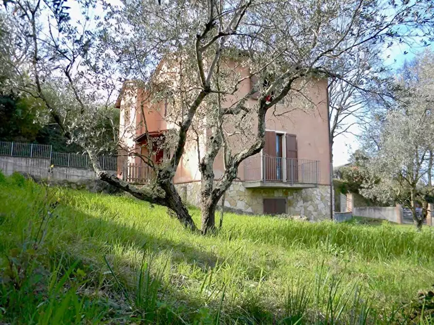 Immagine 5 di Rustico / casale in vendita  a Casciana Terme Lari