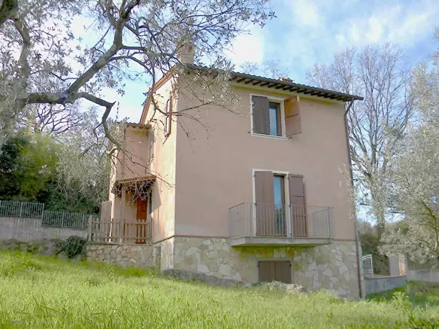 Immagine 10 di Rustico / casale in vendita  a Casciana Terme Lari