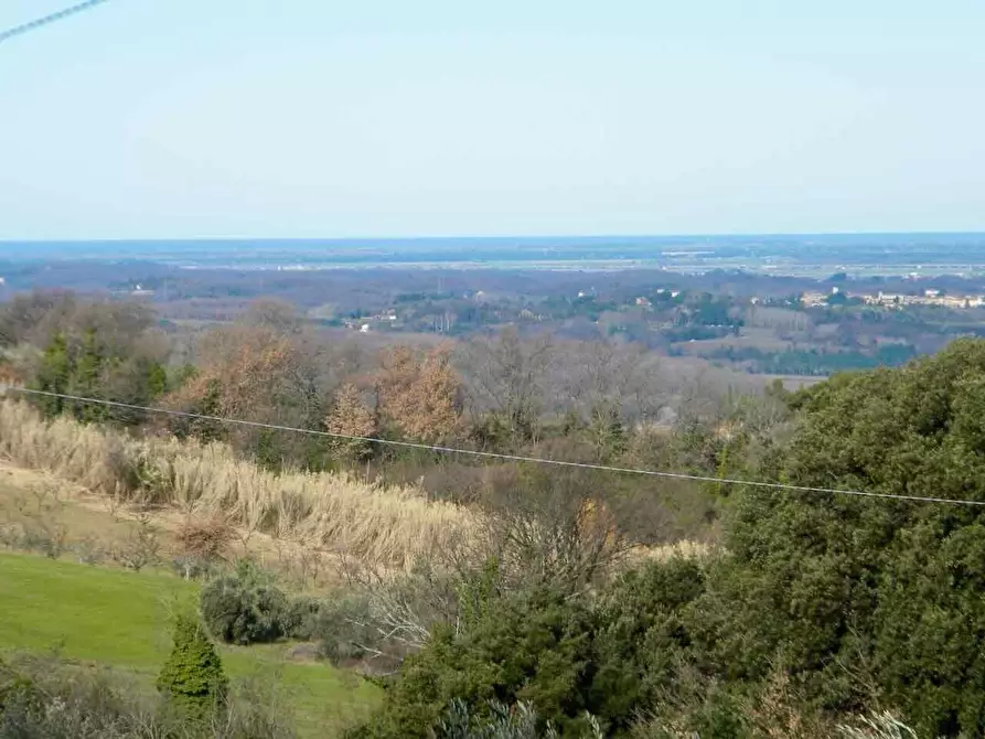 Immagine 14 di Rustico / casale in vendita  a Casciana Terme Lari