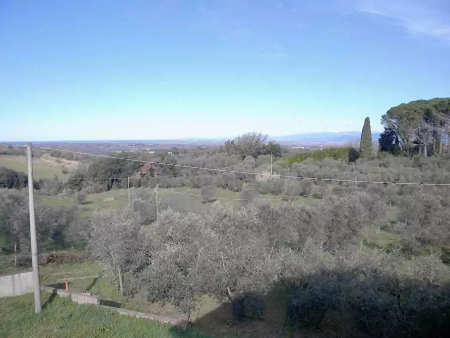 Immagine 11 di Rustico / casale in vendita  a Casciana Terme Lari