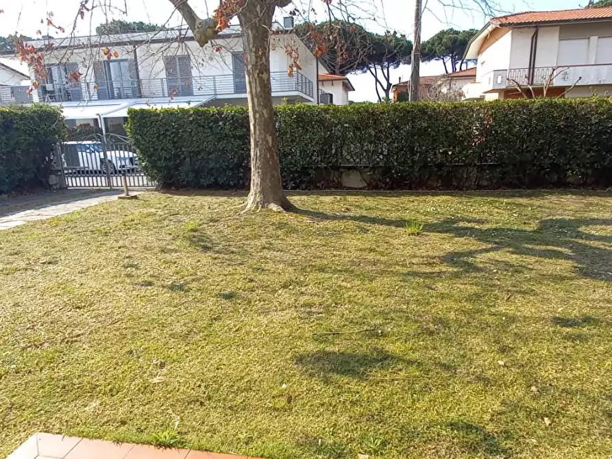 Immagine 3 di Appartamento in affitto  a Camaiore