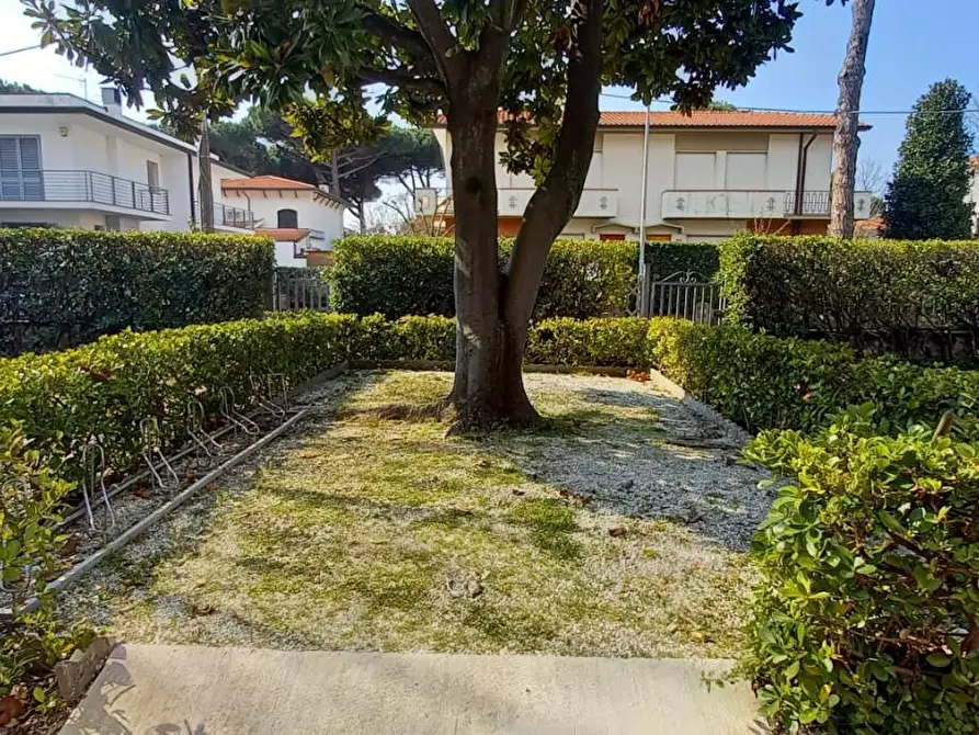 Immagine 2 di Appartamento in affitto  a Camaiore