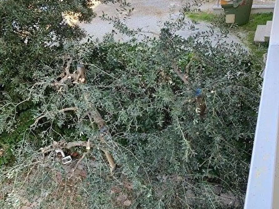 Immagine 10 di Terratetto in vendita  a Vinci