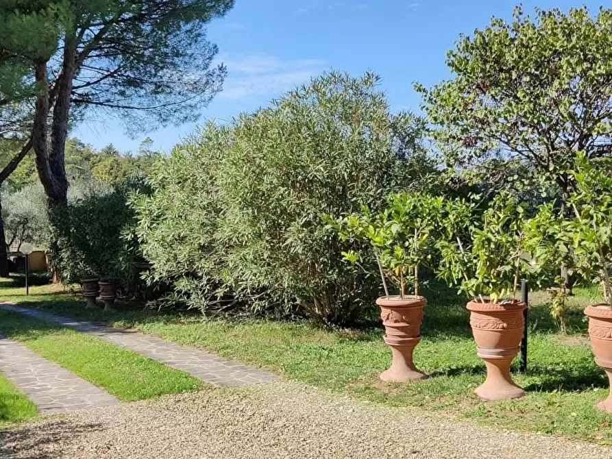 Immagine 10 di Casa colonica in vendita  a Lastra A Signa