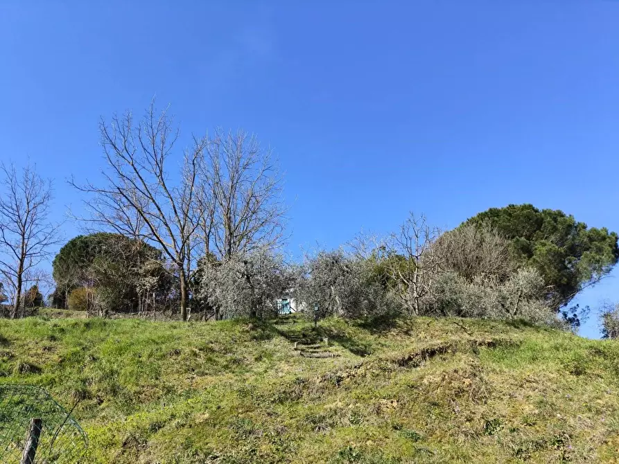 Immagine 42 di Rustico / casale in vendita  a Crespina Lorenzana