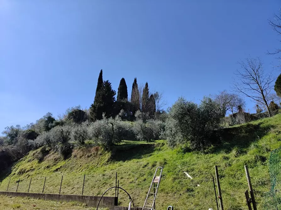 Immagine 38 di Rustico / casale in vendita  a Crespina Lorenzana