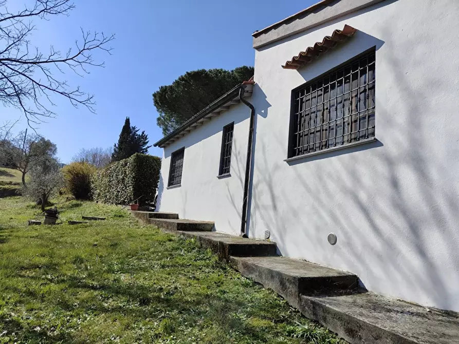 Immagine 36 di Rustico / casale in vendita  a Crespina Lorenzana