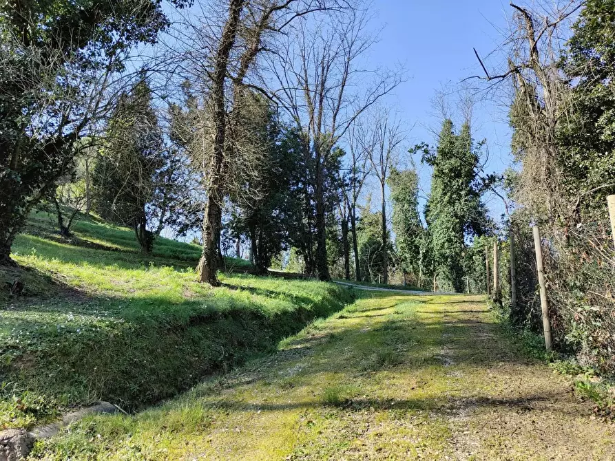 Immagine 41 di Rustico / casale in vendita  a Crespina Lorenzana