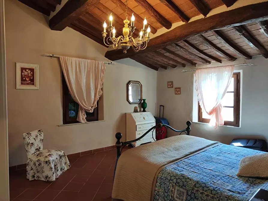 Immagine 30 di Rustico / casale in vendita  a Crespina Lorenzana