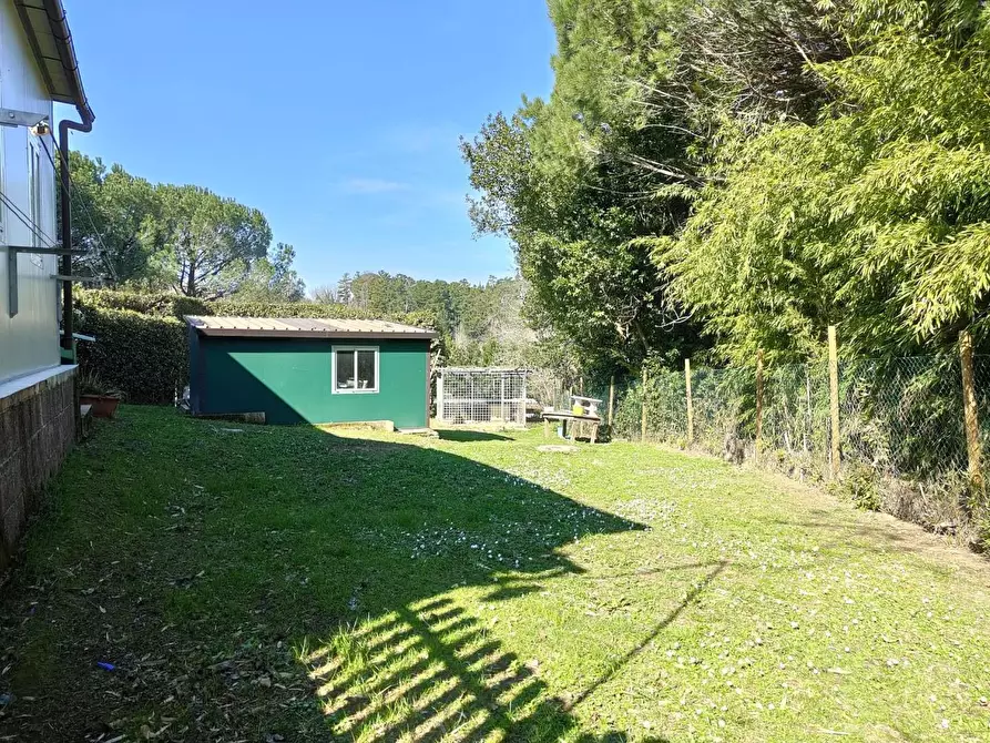 Immagine 37 di Rustico / casale in vendita  a Crespina Lorenzana