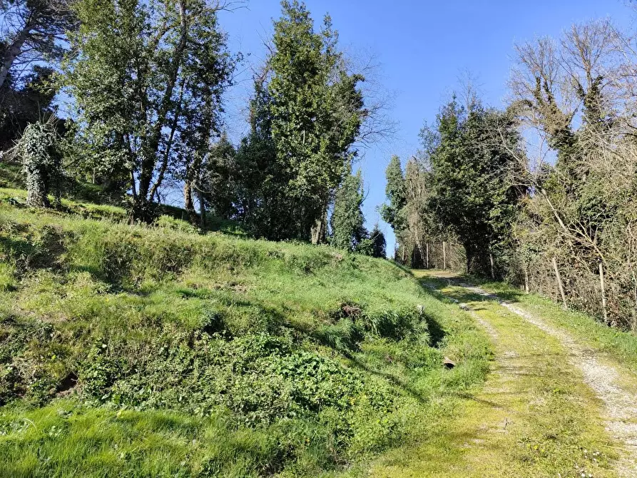 Immagine 39 di Rustico / casale in vendita  a Crespina Lorenzana