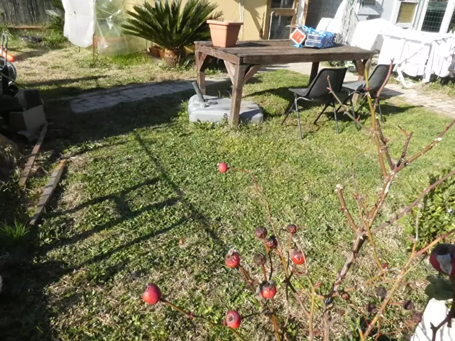 Immagine 31 di Appartamento in vendita  a Castellina Marittima