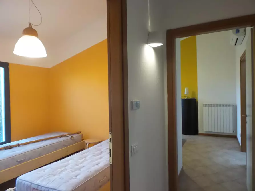 Immagine 22 di Terratetto in vendita  a Empoli