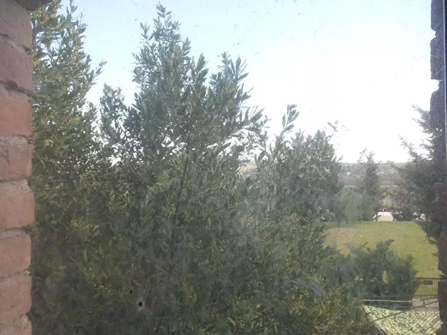 Immagine 27 di Terratetto in vendita  a Empoli