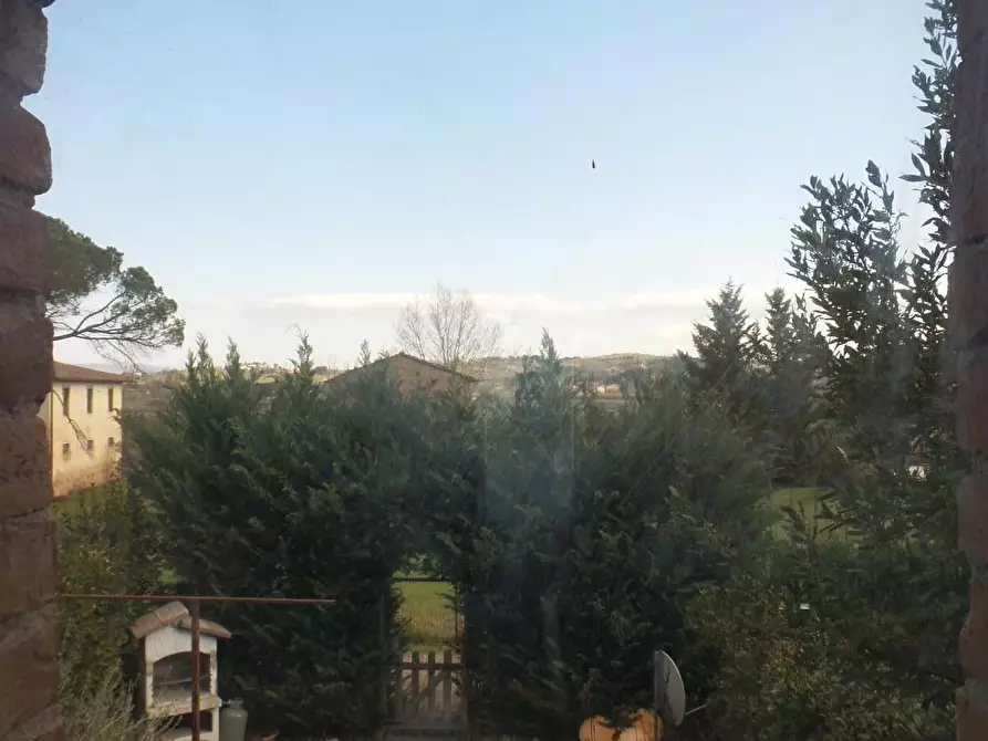 Immagine 24 di Terratetto in vendita  a Empoli