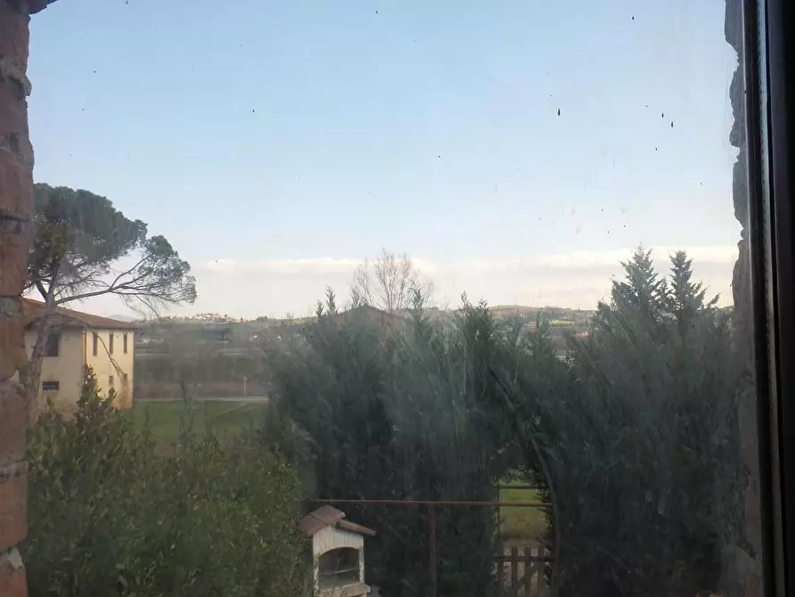 Immagine 21 di Terratetto in vendita  a Empoli