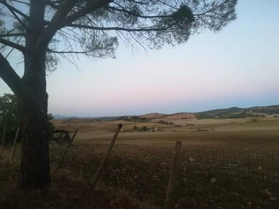 Immagine 6 di Rustico / casale in vendita  a Manciano
