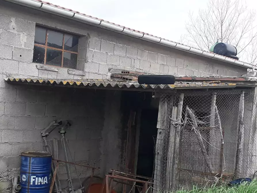 Immagine 14 di Rustico / casale in vendita  a Manciano