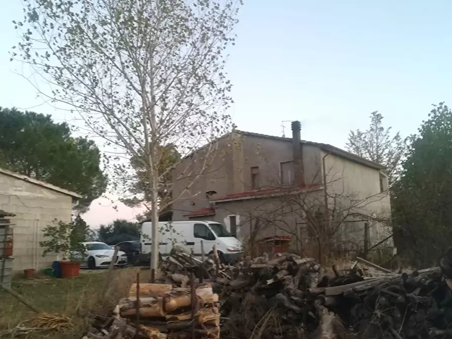 Immagine 10 di Rustico / casale in vendita  a Manciano
