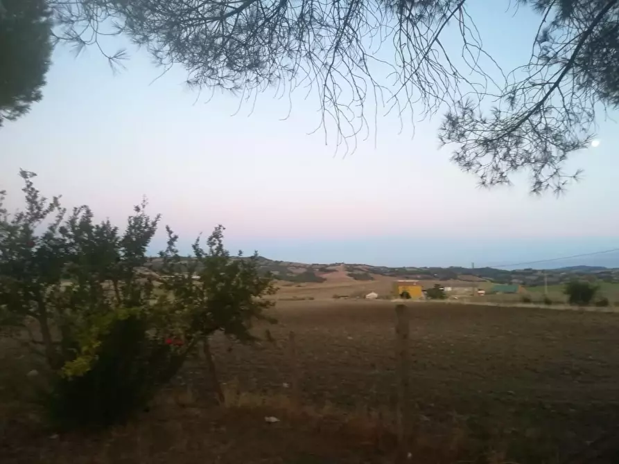 Immagine 5 di Rustico / casale in vendita  a Manciano