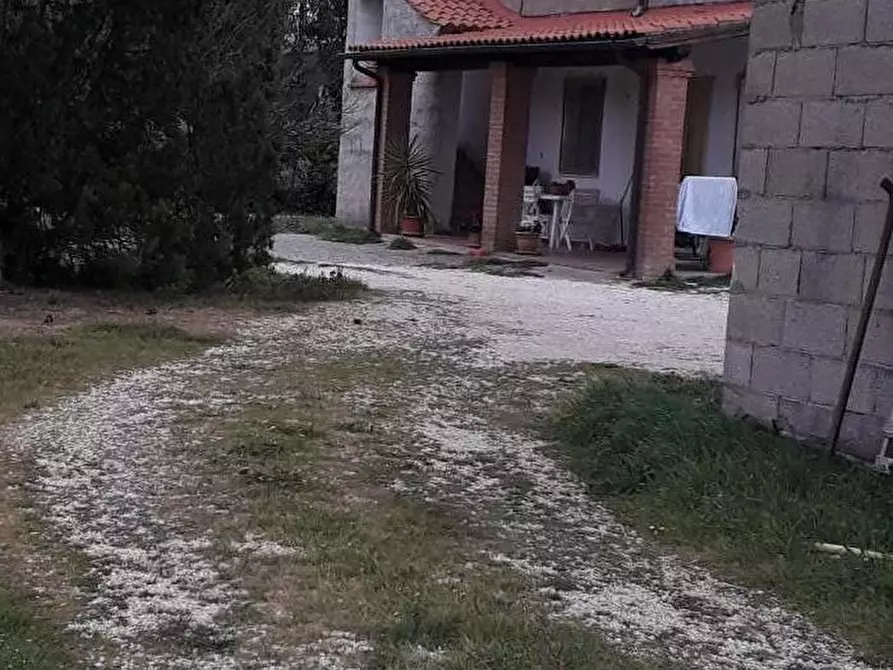 Immagine 8 di Rustico / casale in vendita  a Manciano