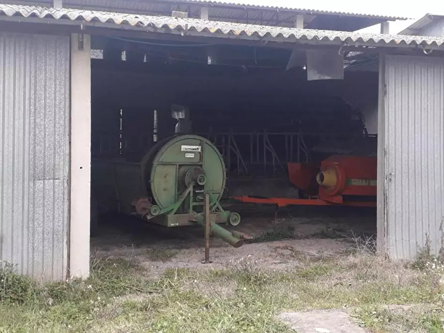 Immagine 20 di Rustico / casale in vendita  a Manciano