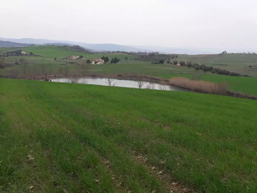 Immagine 1 di Rustico / casale in vendita  a Manciano