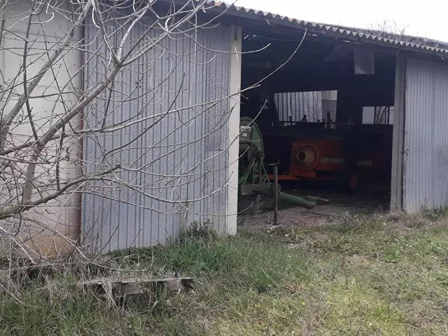 Immagine 19 di Rustico / casale in vendita  a Manciano