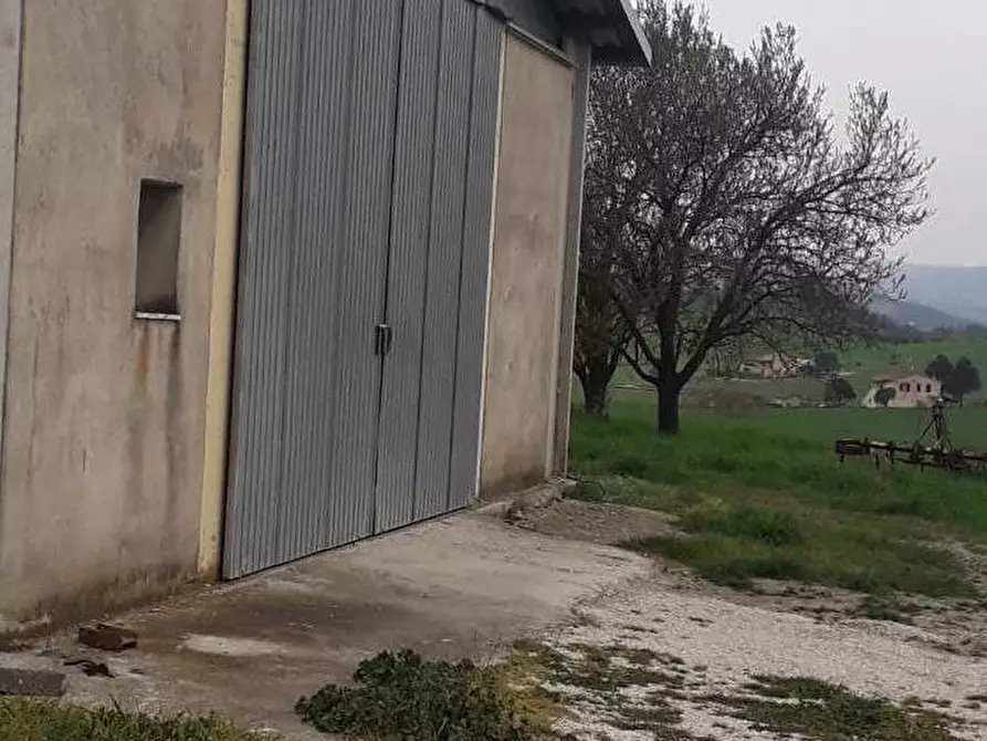 Immagine 13 di Rustico / casale in vendita  a Manciano