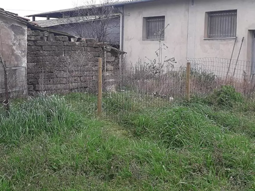 Immagine 12 di Rustico / casale in vendita  a Manciano