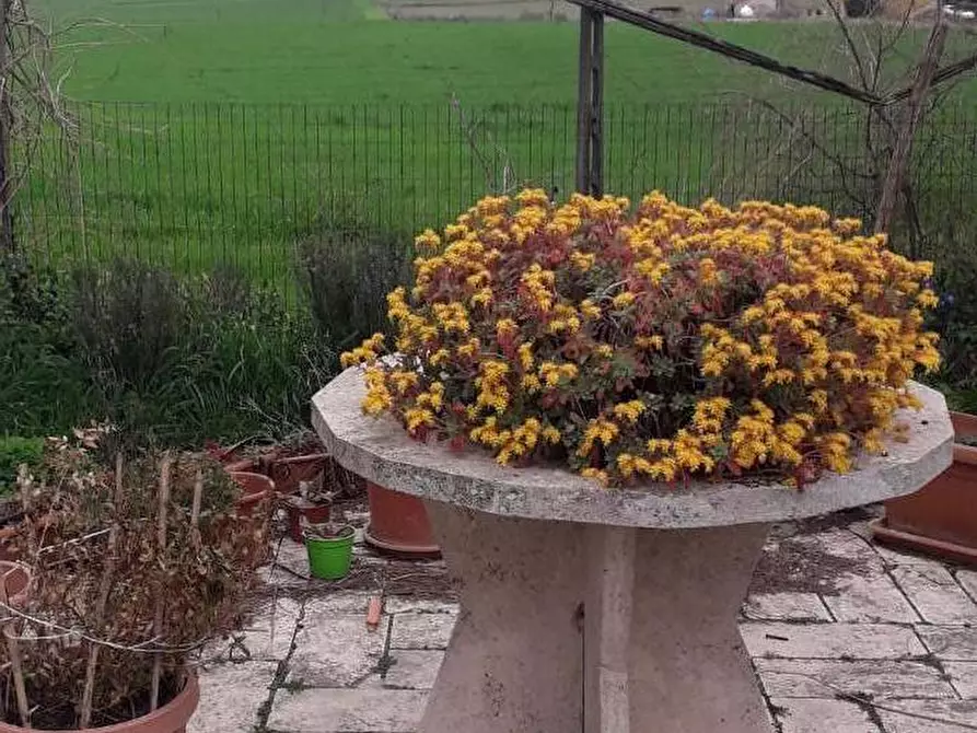 Immagine 7 di Rustico / casale in vendita  a Manciano