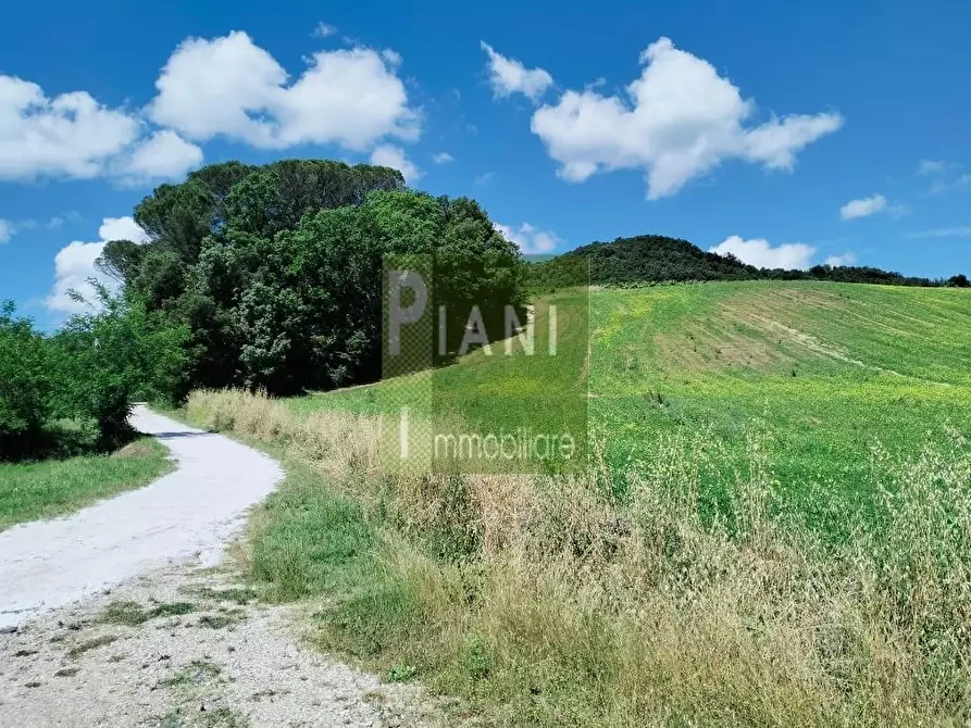 Immagine 1 di Casa colonica in vendita  a Collesalvetti