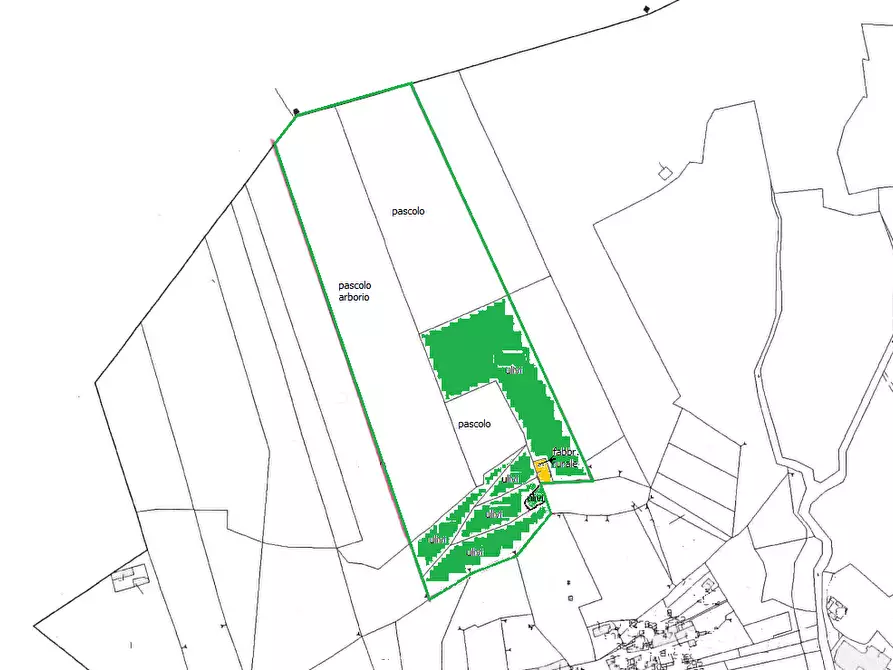 Immagine 4 di Terreno agricolo in vendita  a San Giuliano Terme