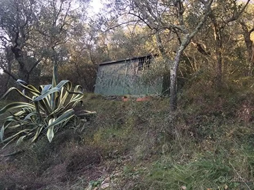Immagine 2 di Terreno agricolo in vendita  a San Giuliano Terme