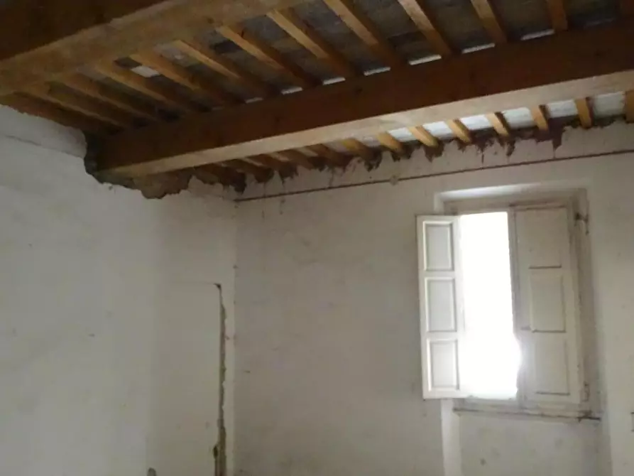 Immagine 19 di Terratetto in vendita  a San Miniato