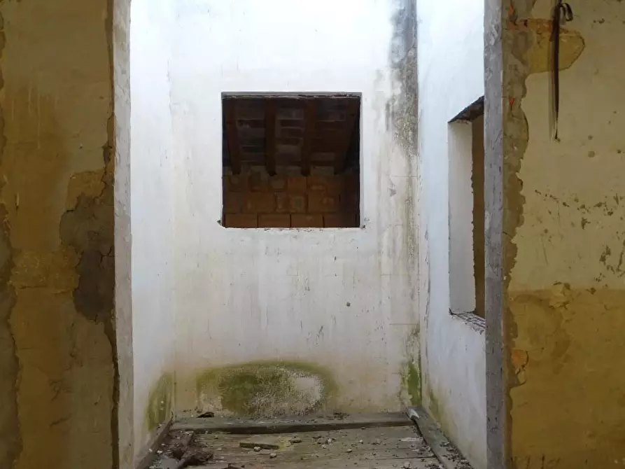 Immagine 26 di Terratetto in vendita  a San Miniato