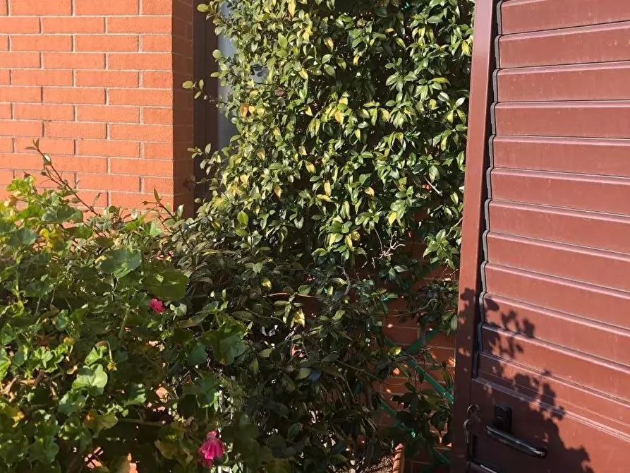 Immagine 6 di Appartamento in vendita  a Cascina