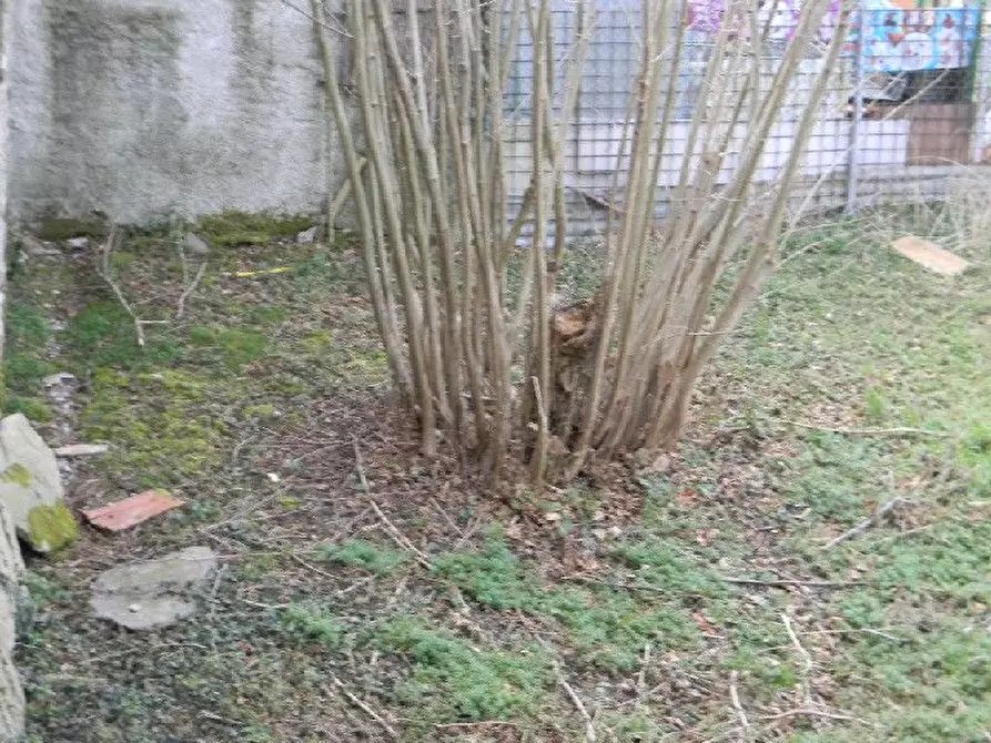 Immagine 14 di Casa indipendente in vendita  a Licciana Nardi