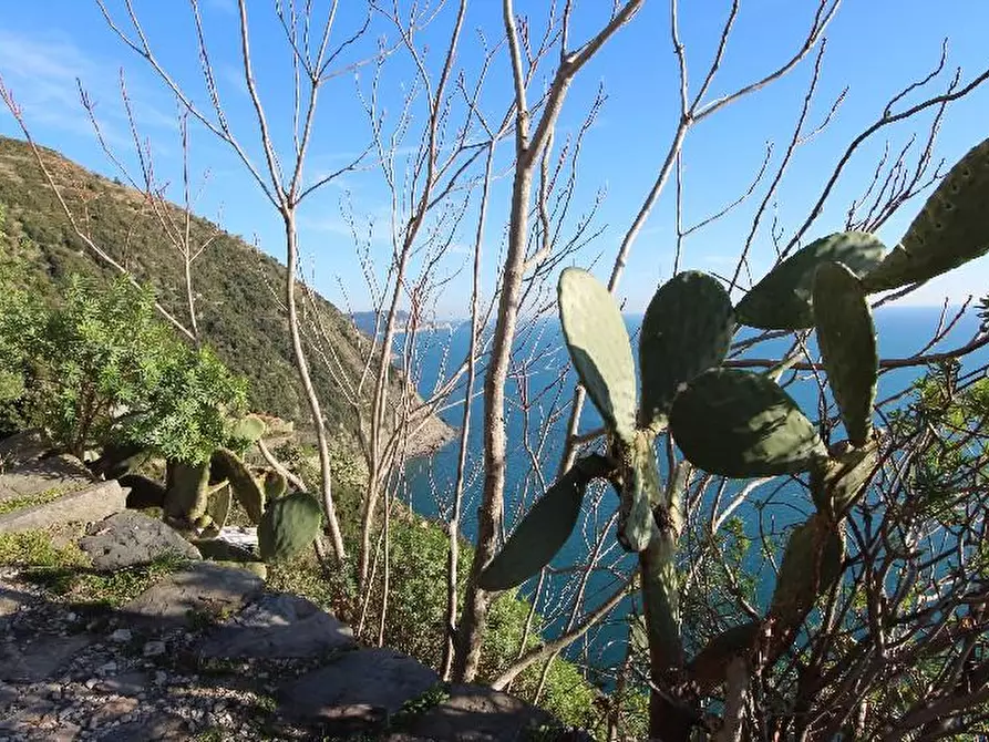 Immagine 4 di Rustico / casale in vendita  a La Spezia