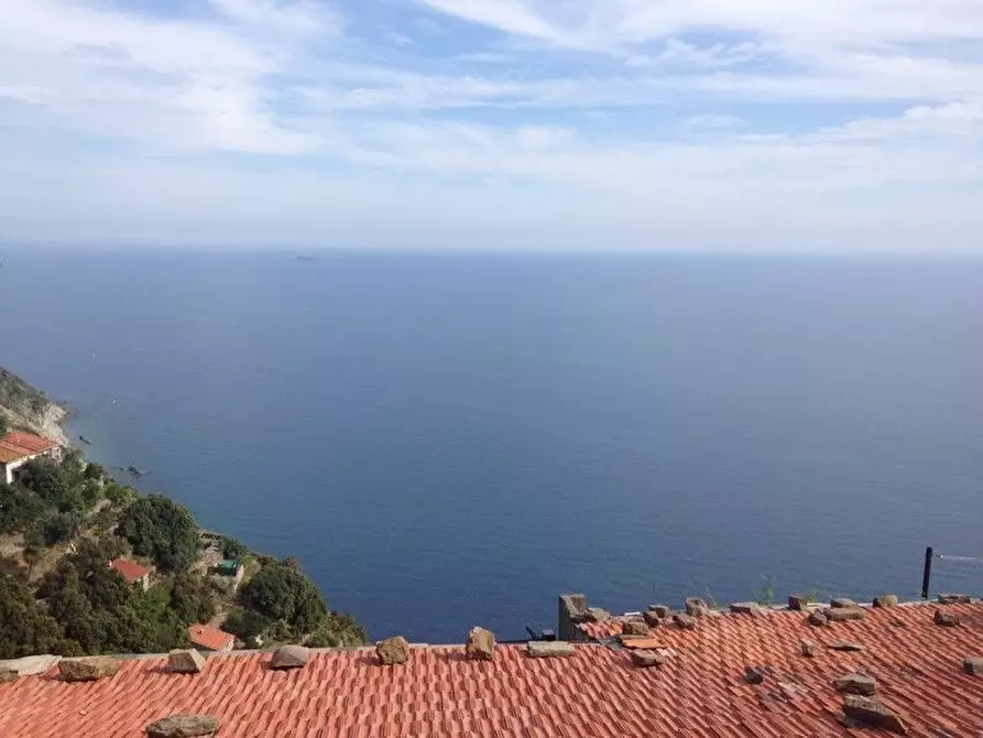Immagine 4 di Rustico / casale in vendita  a Riomaggiore