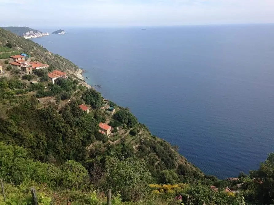 Immagine 20 di Rustico / casale in vendita  a Riomaggiore